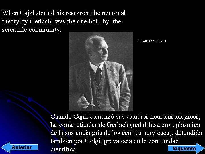 When Cajal started his research, the neuronal theory by Gerlach was the one hold