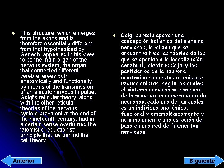 l This structure, which emerges from the axons and is therefore essentially different from