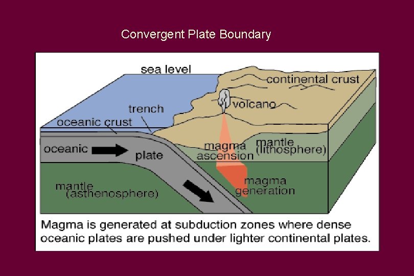 Convergent Plate Boundary 