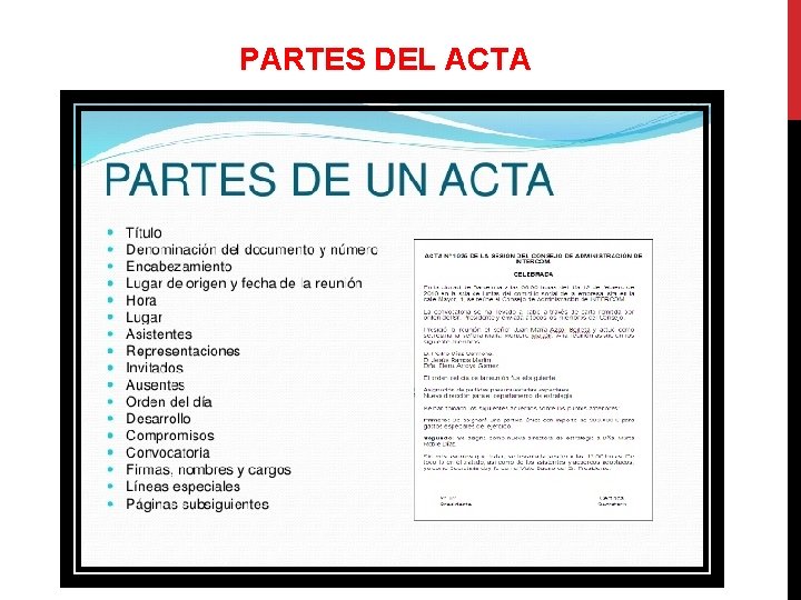 PARTES DEL ACTA 