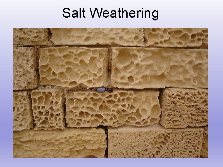 Salt Weathering 