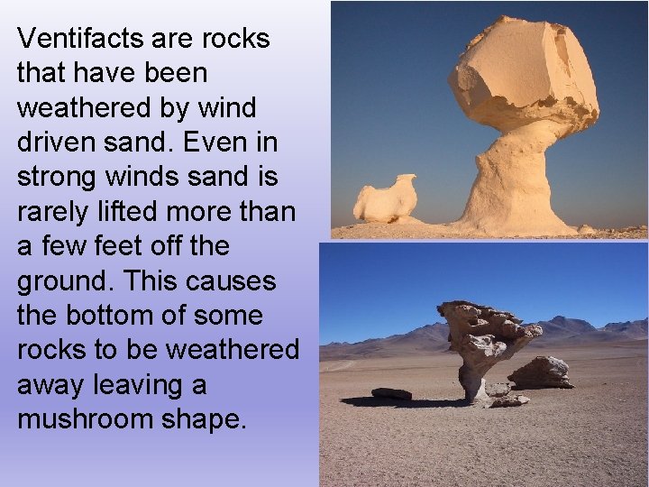 Ventifacts are rocks that have been weathered by wind driven sand. Even in strong
