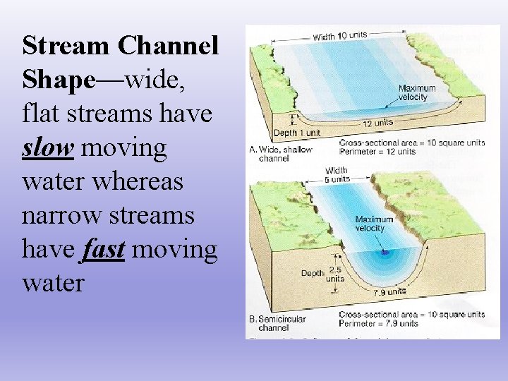 Stream Channel Shape—wide, flat streams have slow moving water whereas narrow streams have fast