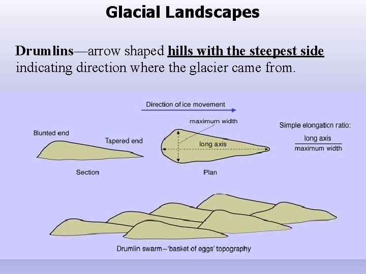 Glacial Landscapes Drumlins—arrow shaped hills with the steepest side indicating direction where the glacier