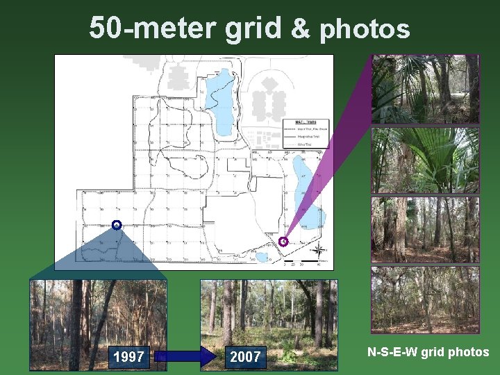 50 -meter grid & photos Grid-based photographic record of vegetation (1997, 2007 -08) In