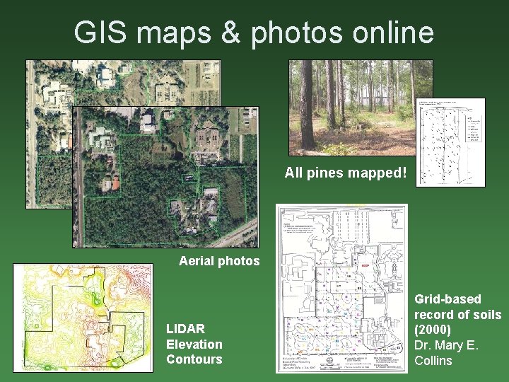 GIS maps & photos online All pines mapped! Aerial photos • LIDAR Elevation Contours
