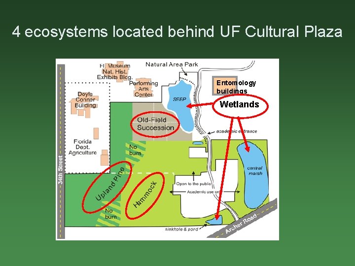 4 ecosystems located behind UF Cultural Plaza Entomology buildings Wetlands 