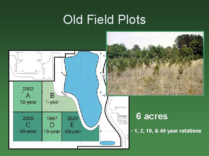 Old Field Plots Old-field succession must be periodically interrupted to prevent the succession from