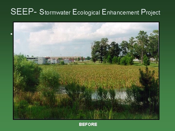 SEEP- Stormwater Ecological Enhancement Project • Retention basin re-contoured for SEEP (1998) BEFORE 