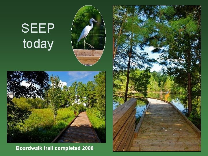 SEEP today Boardwalk trail completed 2008 
