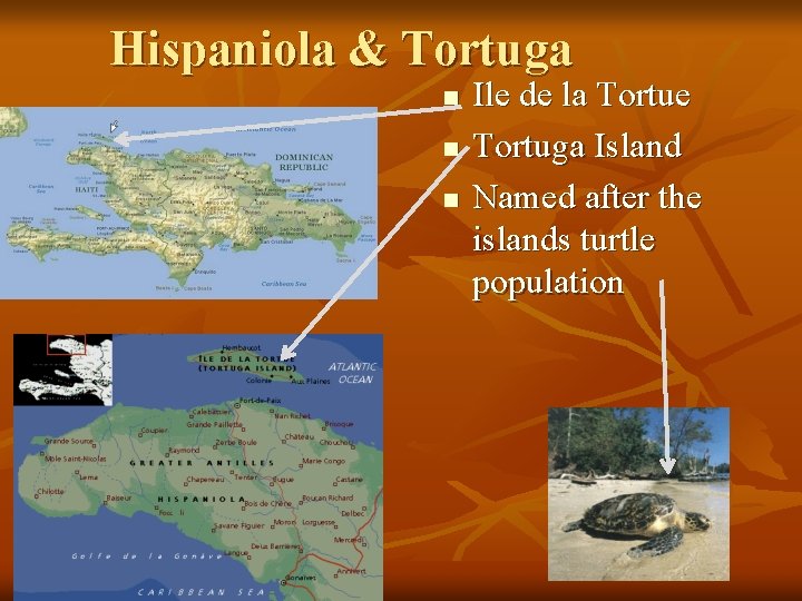 Hispaniola & Tortuga n n n Ile de la Tortue Tortuga Island Named after