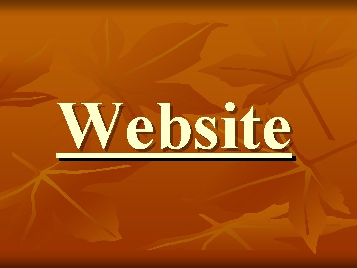 Website 