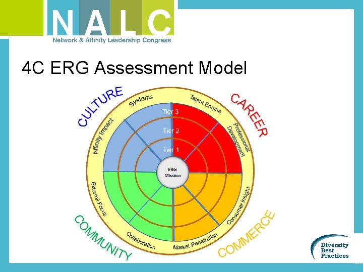 4 C ERG Assessment Model 