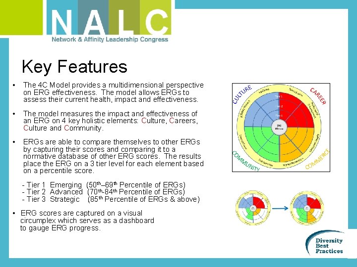 Key Features • The 4 C Model provides a multidimensional perspective on ERG effectiveness.