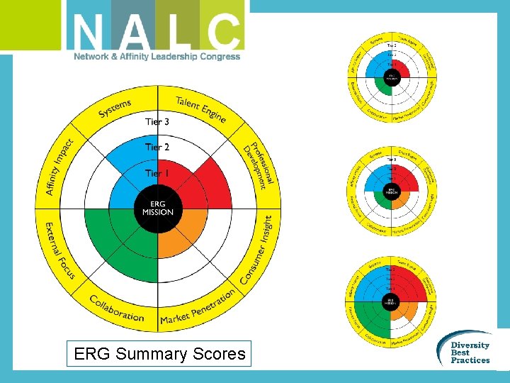 ERG Summary Scores 