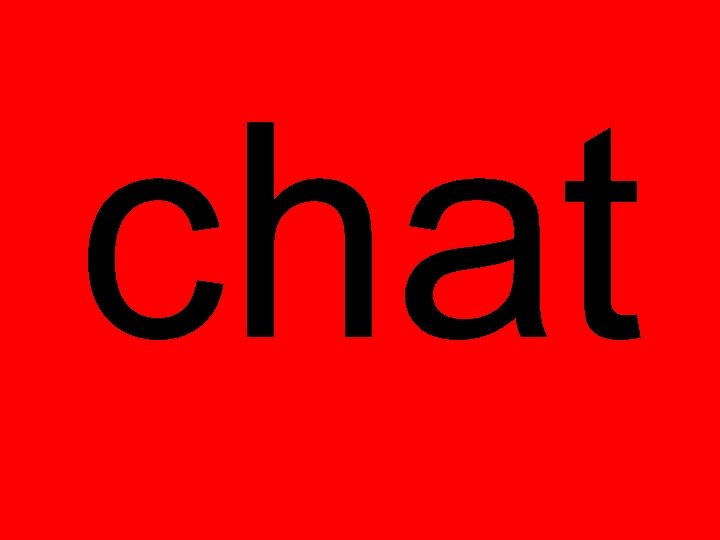 chat 