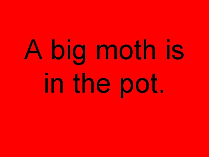 A big moth is in the pot. 