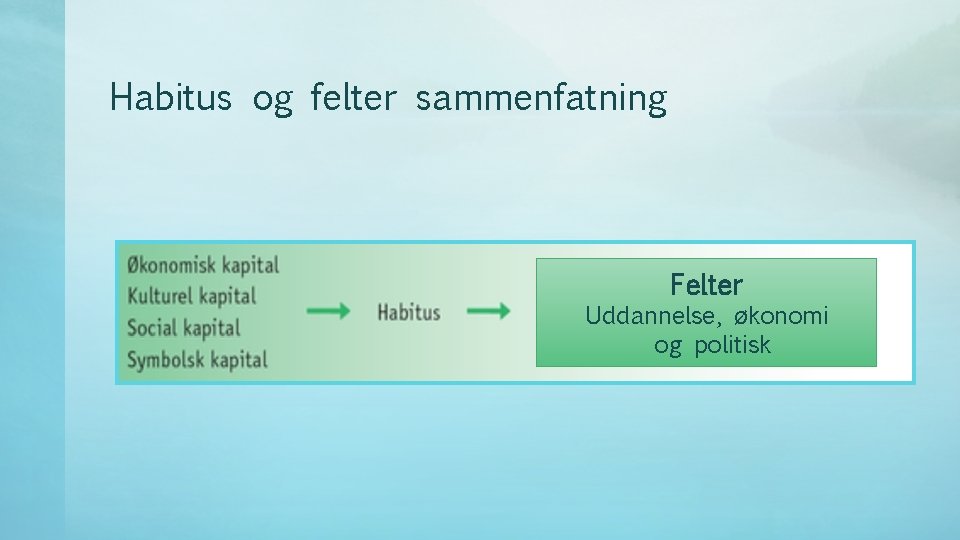 Habitus og felter sammenfatning Felter Uddannelse, økonomi og politisk 