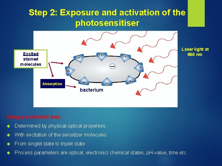 Step 2: Exposure and activation of the photosensitiser Laser light at 660 nm Excited