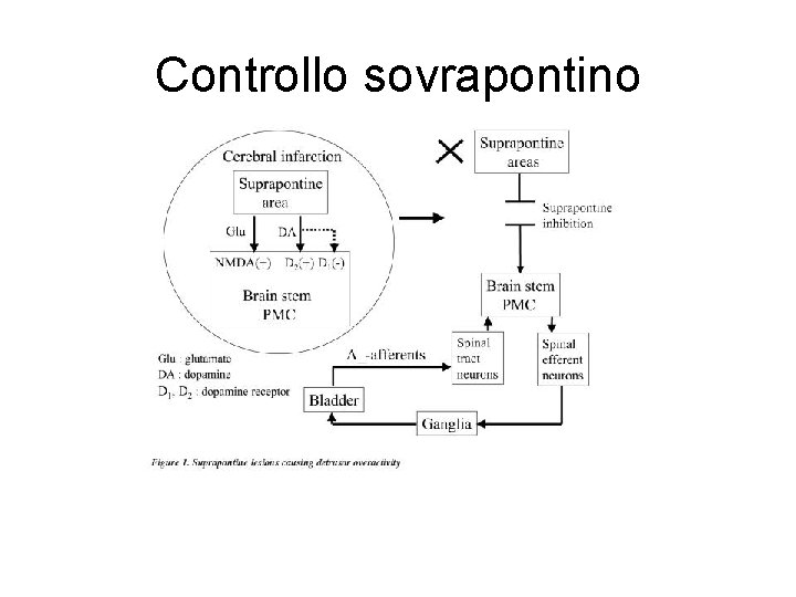 Controllo sovrapontino 