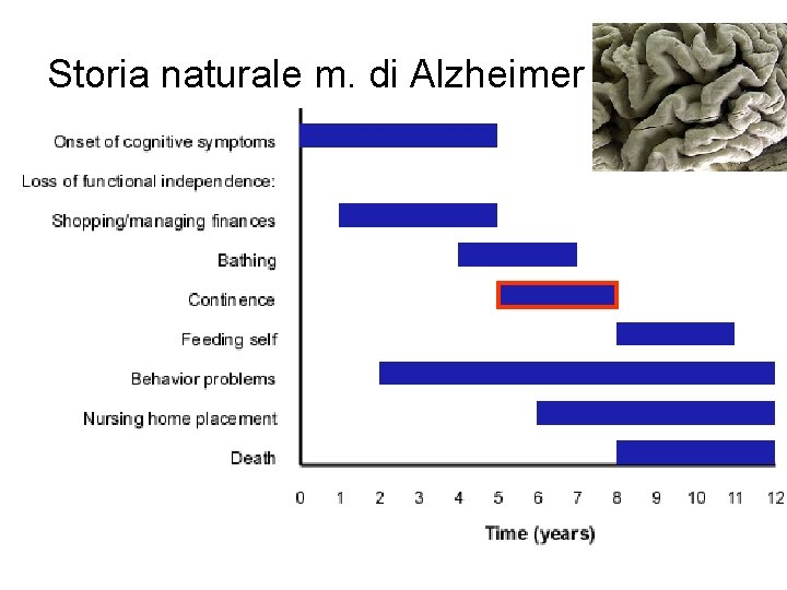 Storia naturale m. di Alzheimer 