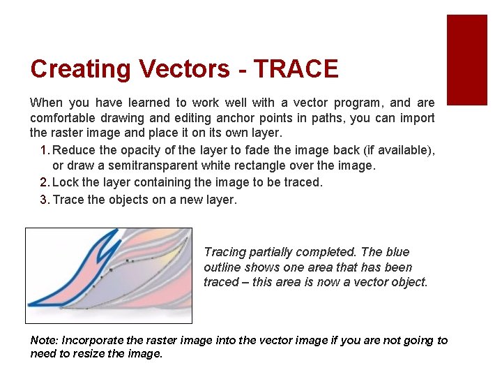 Creating Vectors - TRACE When you have learned to work well with a vector