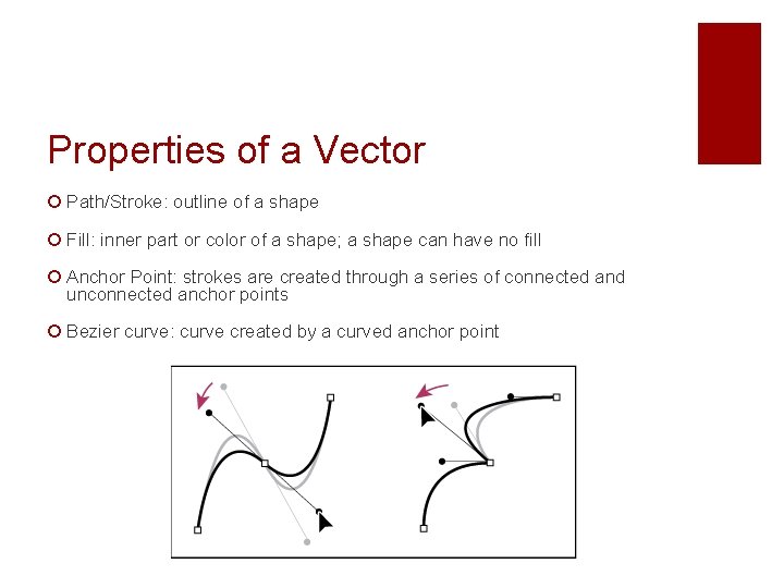Properties of a Vector ¡ Path/Stroke: outline of a shape ¡ Fill: inner part