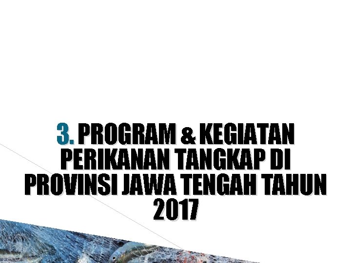 3. PROGRAM & KEGIATAN PERIKANAN TANGKAP DI PROVINSI JAWA TENGAH TAHUN 2017 