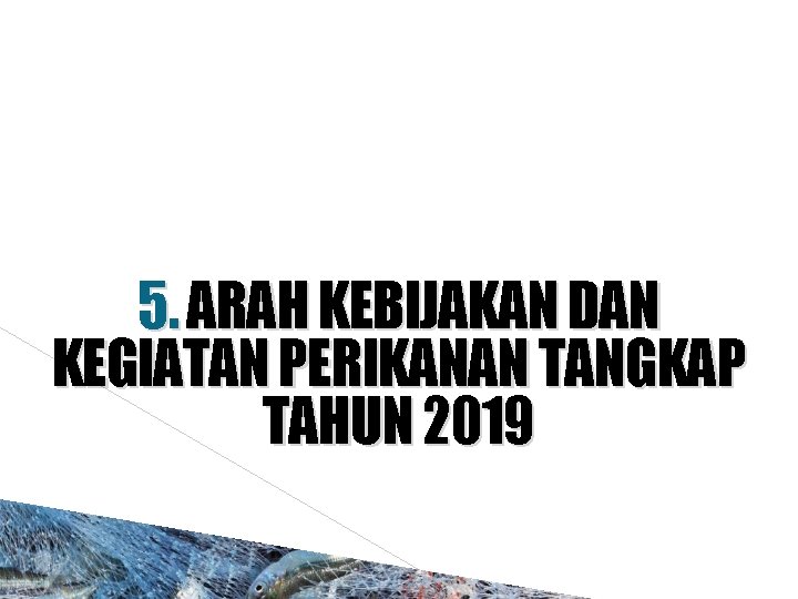 5. ARAH KEBIJAKAN DAN KEGIATAN PERIKANAN TANGKAP TAHUN 2019 