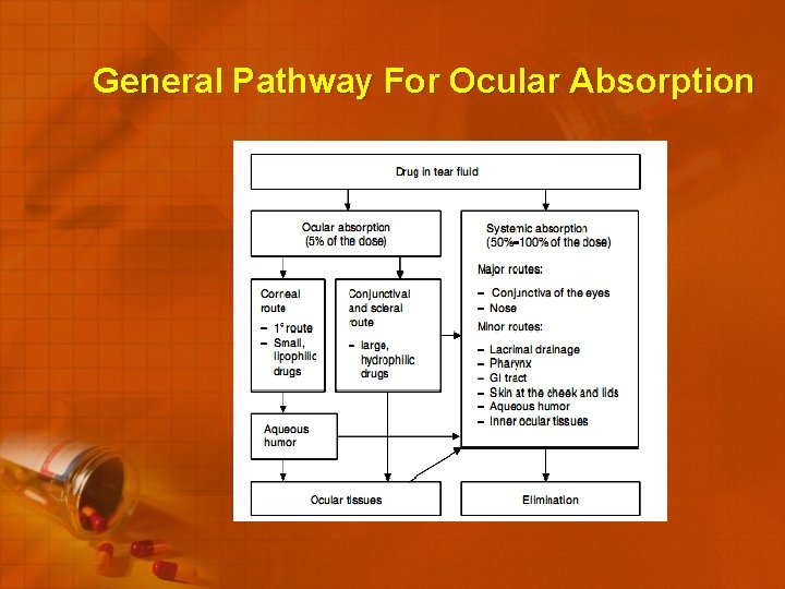 General Pathway For Ocular Absorption 