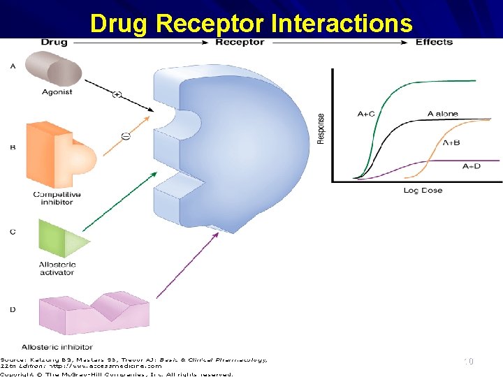 Drug Receptor Interactions 10 