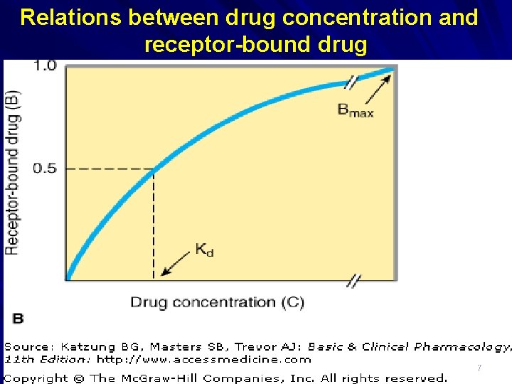 Relations between drug concentration and receptor-bound drug 7 