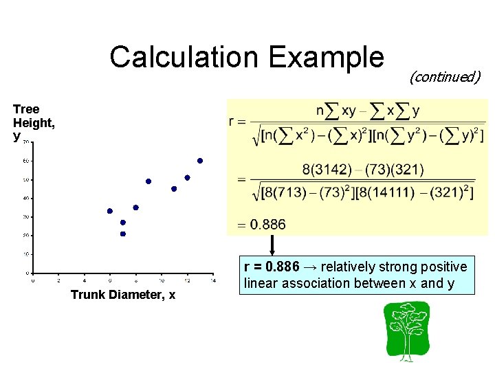 Calculation Example (continued) Tree Height, y Trunk Diameter, x r = 0. 886 →