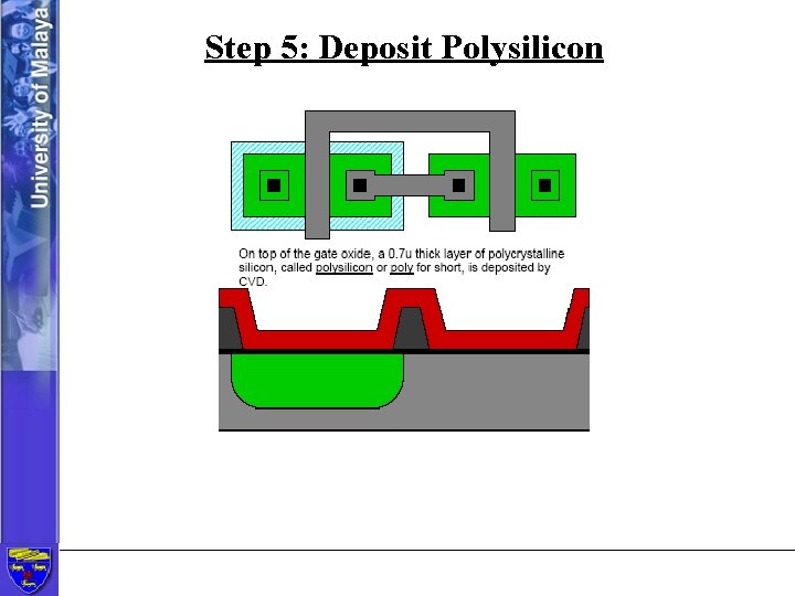 Step 5: Deposit Polysilicon 
