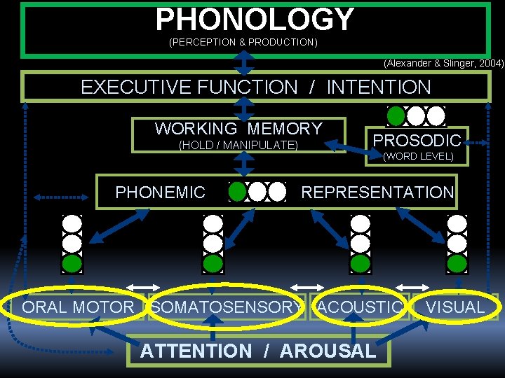 PHONOLOGY (PERCEPTION & PRODUCTION) (Alexander & Slinger, 2004) EXECUTIVE FUNCTION / INTENTION WORKING MEMORY