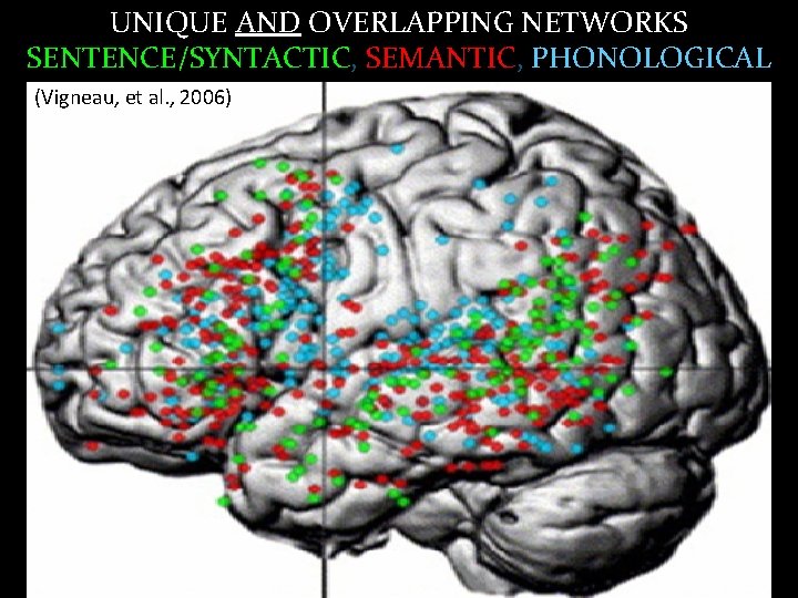UNIQUE AND OVERLAPPING NETWORKS SENTENCE/SYNTACTIC, SEMANTIC, PHONOLOGICAL (Vigneau, et al. , 2006) 