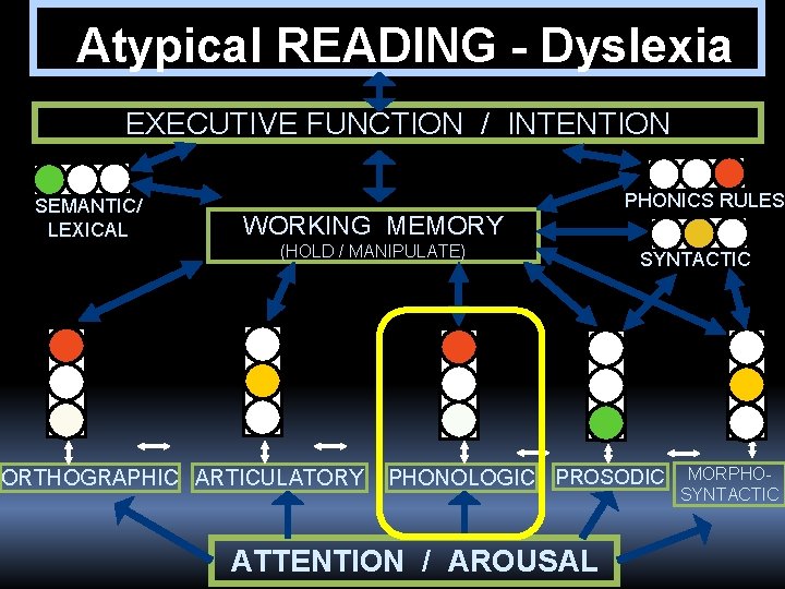  Atypical READING - Dyslexia EXECUTIVE FUNCTION / INTENTION SEMANTIC/ LEXICAL PHONICS RULES WORKING