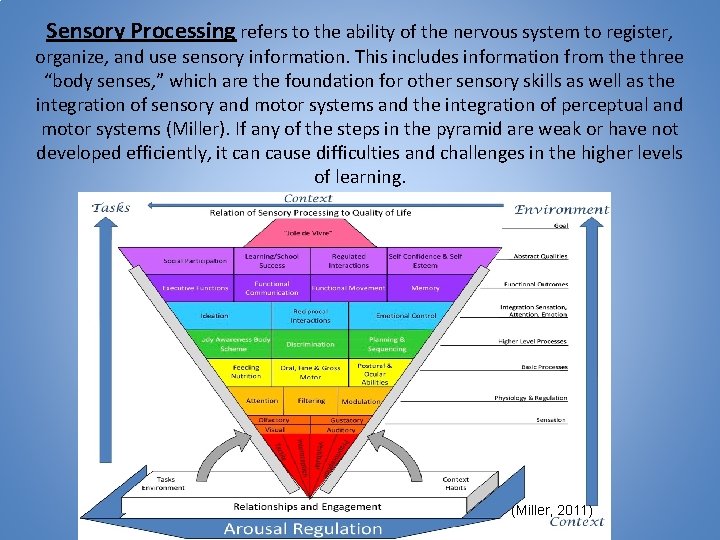 Sensory Processing refers to the ability of the nervous system to register, organize, and