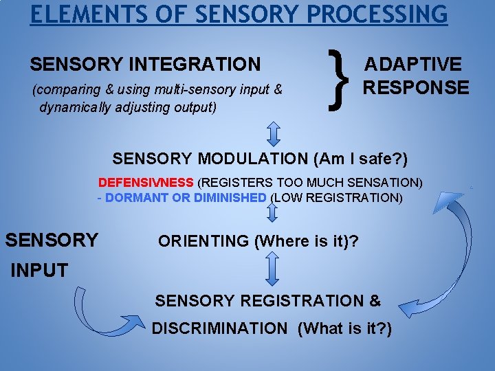 ELEMENTS OF SENSORY PROCESSING } SENSORY INTEGRATION ADAPTIVE (comparing & using multi-sensory input &