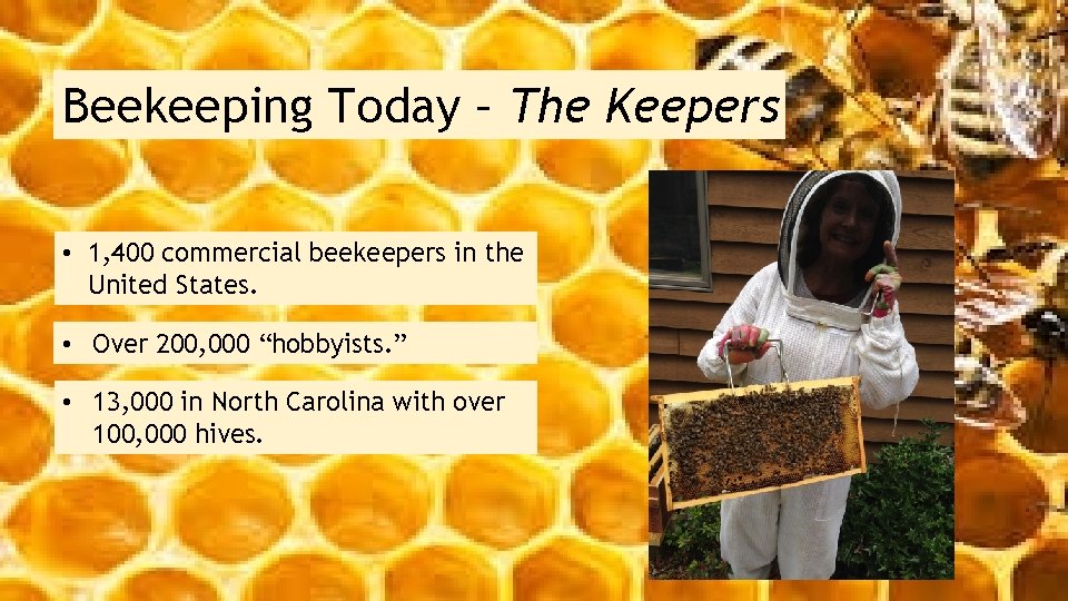 Beekeeping Today – The Keepers • 1, 400 commercial beekeepers in the United States.