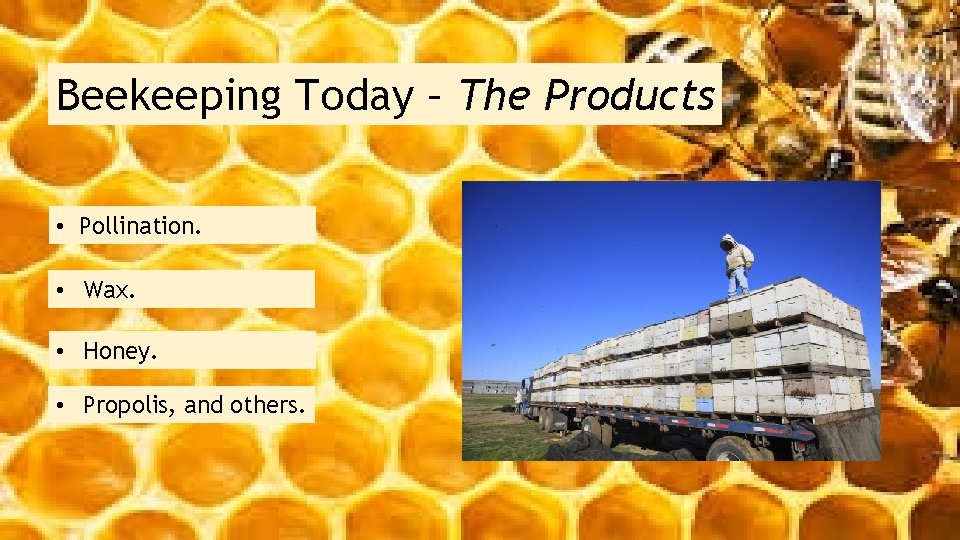 Beekeeping Today – The Products • Pollination. • Wax. • Honey. • Propolis, and