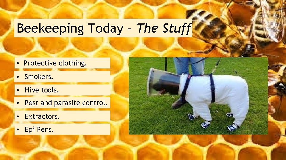 Beekeeping Today – The Stuff • Protective clothing. • Smokers. • Hive tools. •