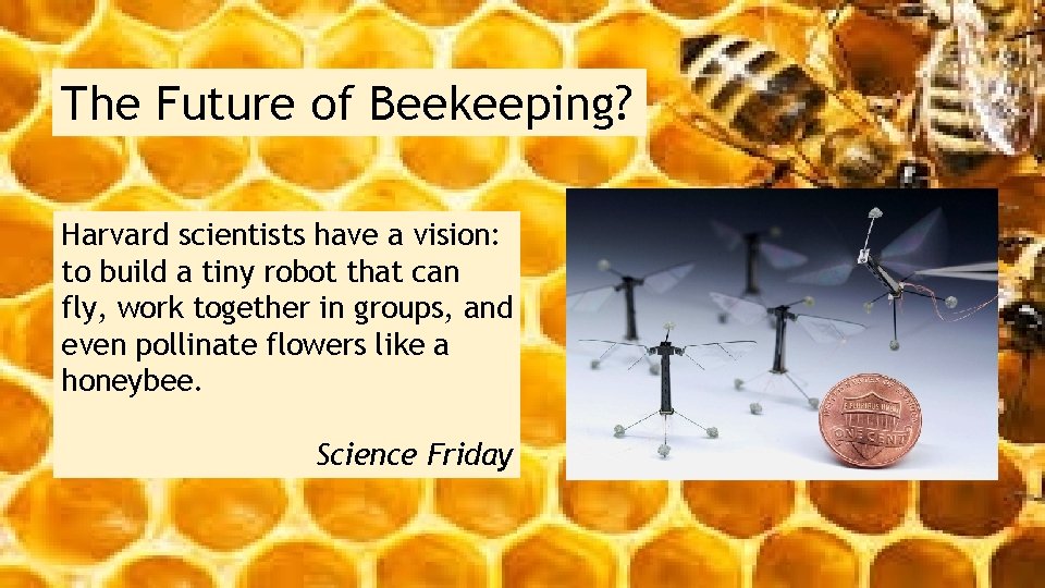 The Future of Beekeeping? Harvard scientists have a vision: to build a tiny robot