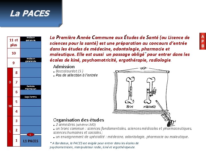 La PACES 11 et plus Médecin spécialiste 10 Médecin généraliste 9 8 D 7