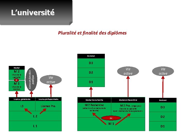 L’université Pluralité et finalité des diplômes Doctorat D 3 M 2 Choix de la