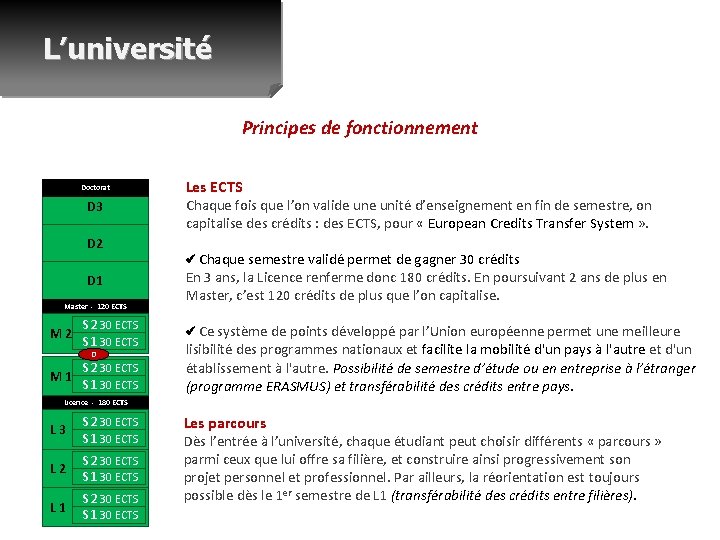 L’université Principes de fonctionnement Doctorat D 3 D 2 D 1 Master - 120