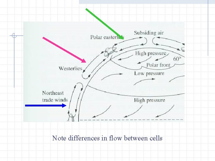 Note differences in flow between cells 