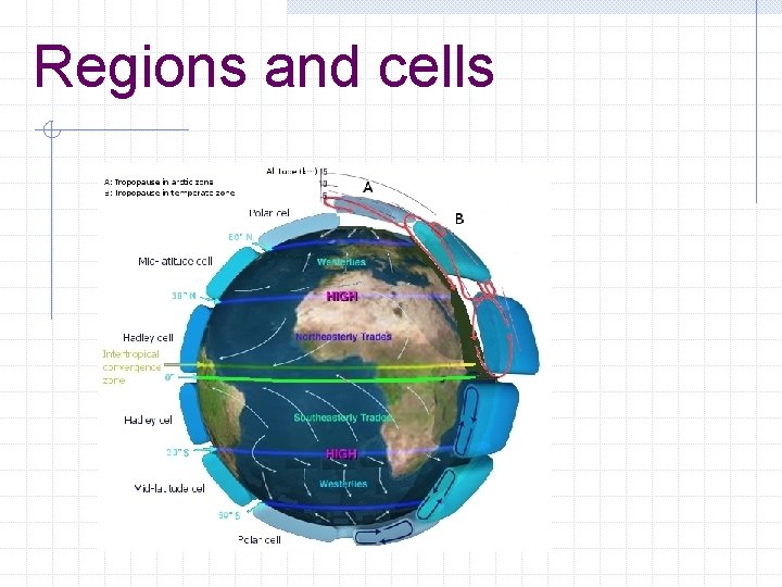 Regions and cells 