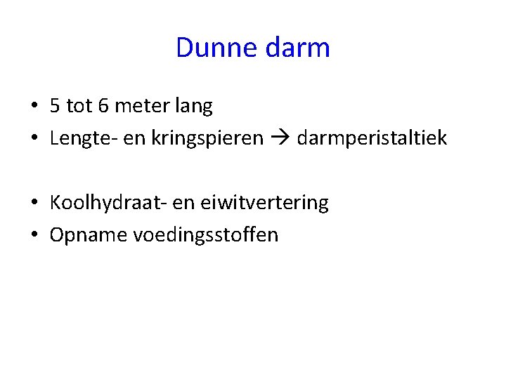 Dunne darm • 5 tot 6 meter lang • Lengte- en kringspieren darmperistaltiek •