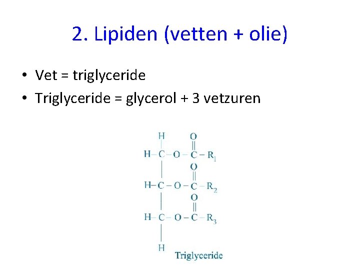 2. Lipiden (vetten + olie) • Vet = triglyceride • Triglyceride = glycerol +